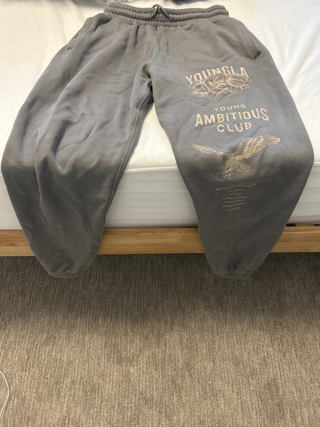 Customer photo review of 233 - The Immortal Joggers