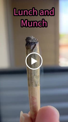 Customer video review of Sunrise to Sunset Exotic Smalls Bundle