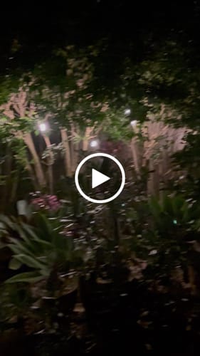 Customer video review of GardenBrite™ E12 Solar Festoon Light Pack