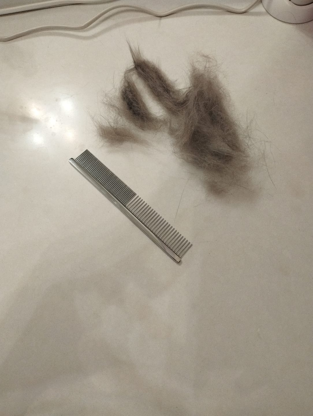 Customer photo review of Pettine denti fini, denti medi o mini comb 13,5