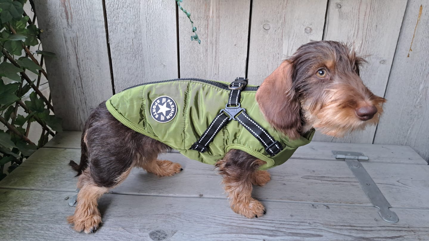 Customer photo review of PawShield - Honden Winterjas Winterjas Voor Hond