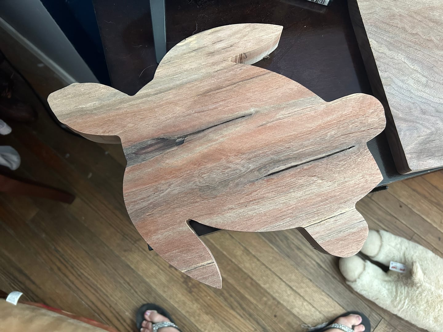 Customer photo review of 15x12" Sea Turtle Shaped Serving Board Acrylic Router Template