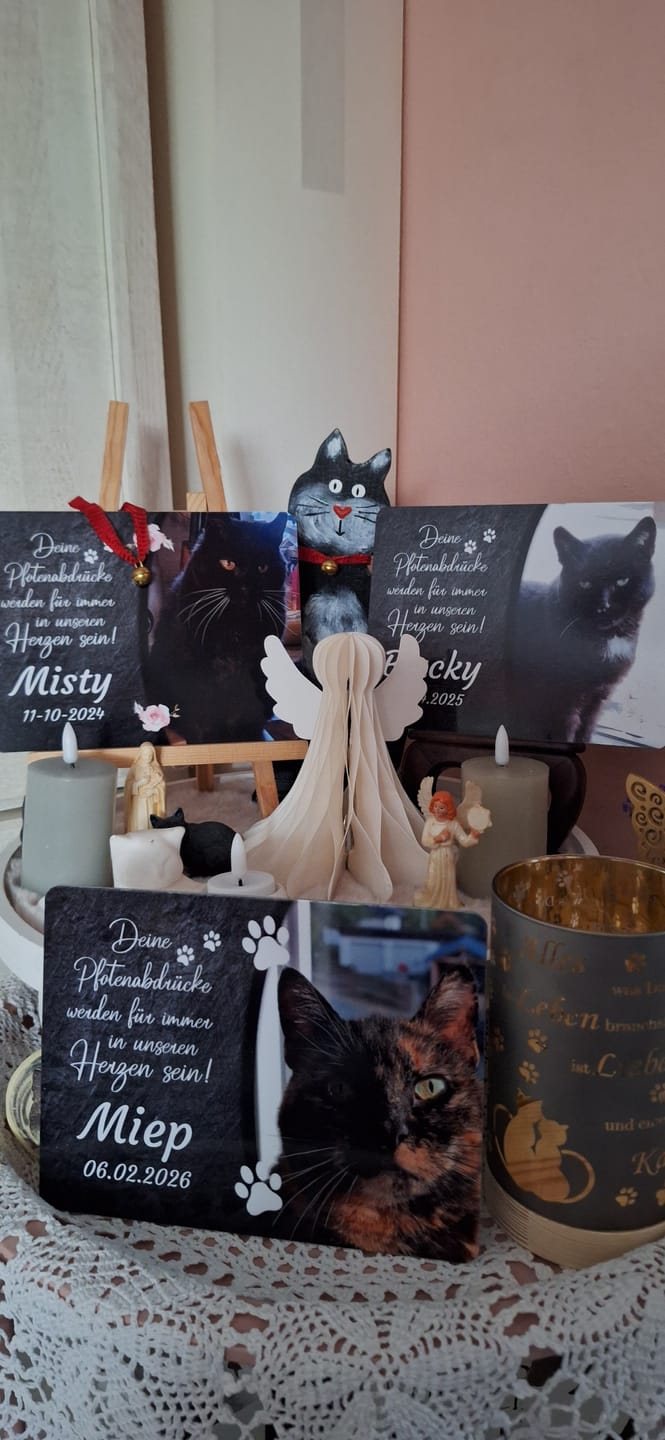 Customer photo review of Katzen Gedenktafel mit Foto & Spruch (UV- & Wetterfest)