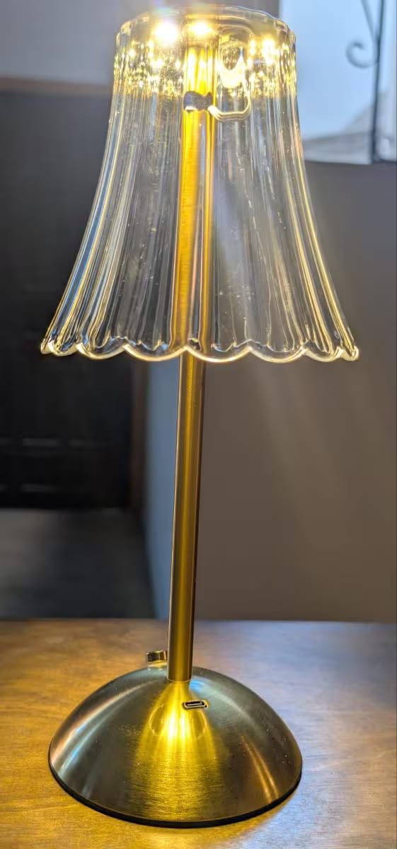 Customer photo review of Modern Cordless Table Lamp