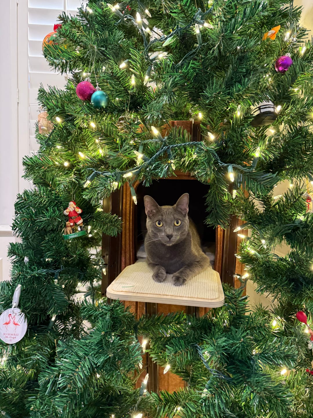 Customer photo review of Cat Christmas Tree - Sep 2026
