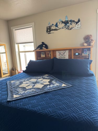 Customer photo review of Winter Peaks Printed Wall Art