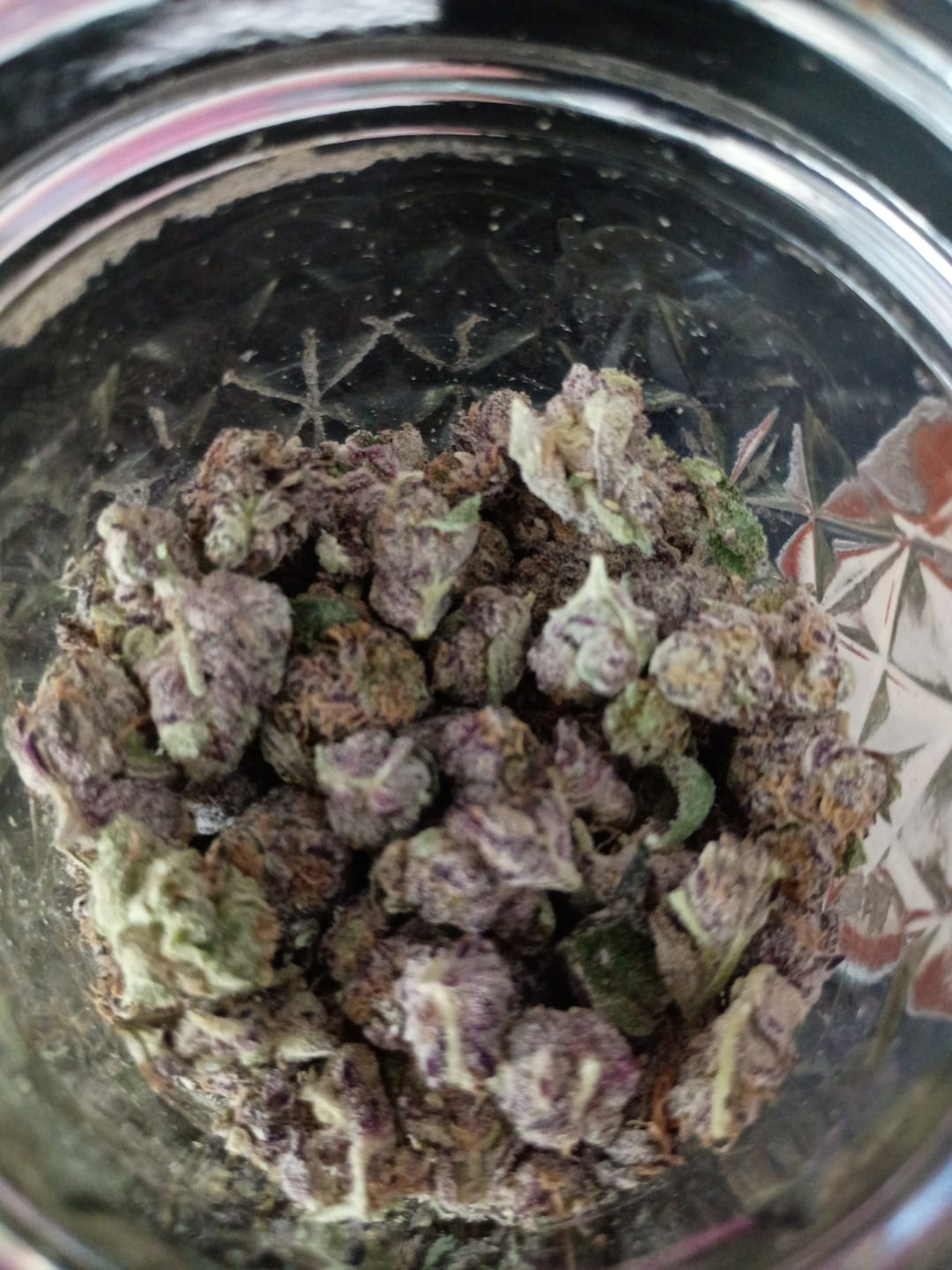 Customer photo review of Candy Fumes Light Assist THCA
