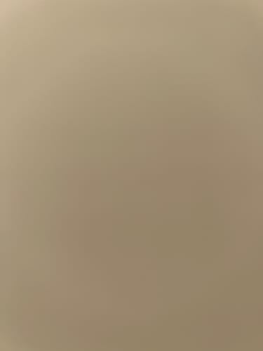 Customer photo review of LABEL BODYSUIT BLACK