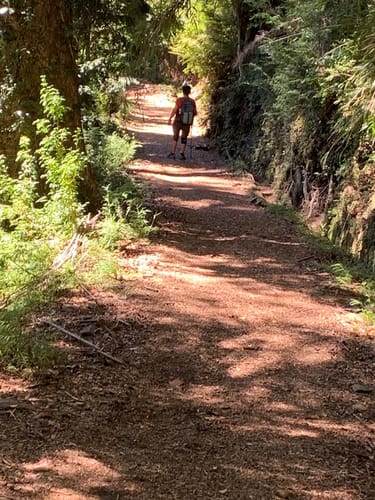 Customer photo review of Entradas Parque Futangue