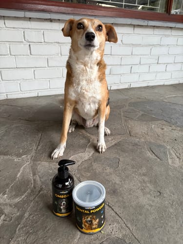 Customer photo review of Dental  Powder