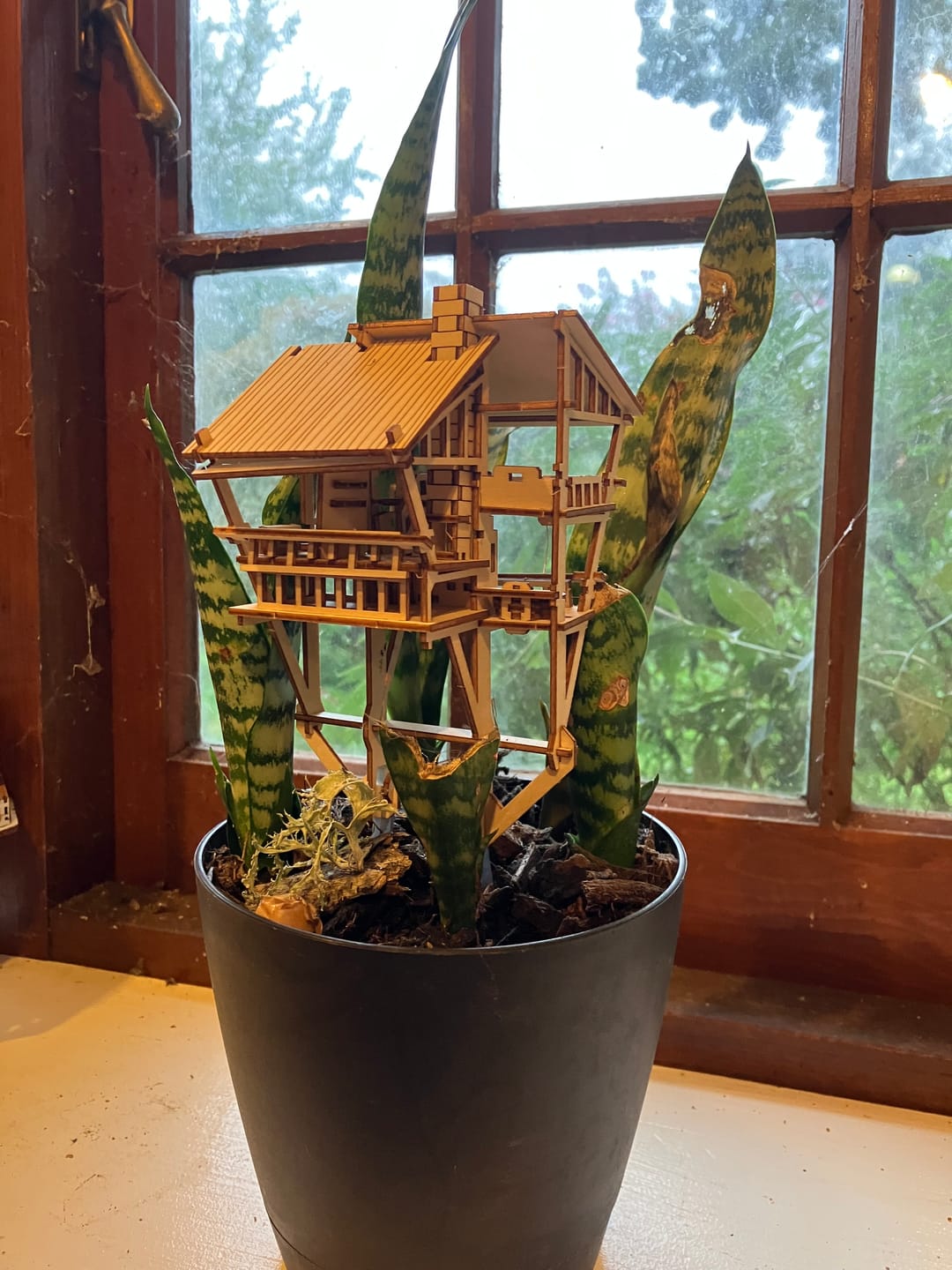 Customer photo review of Tropical Lookout