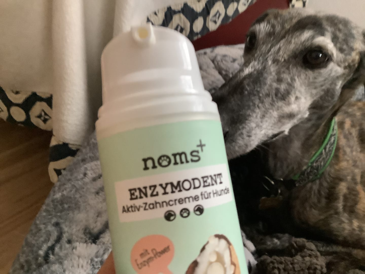 Customer photo review of Enzymodent: Enzymatische Zahnpasta für Hunde mit natürlicher Pflege- und Präventionsformel