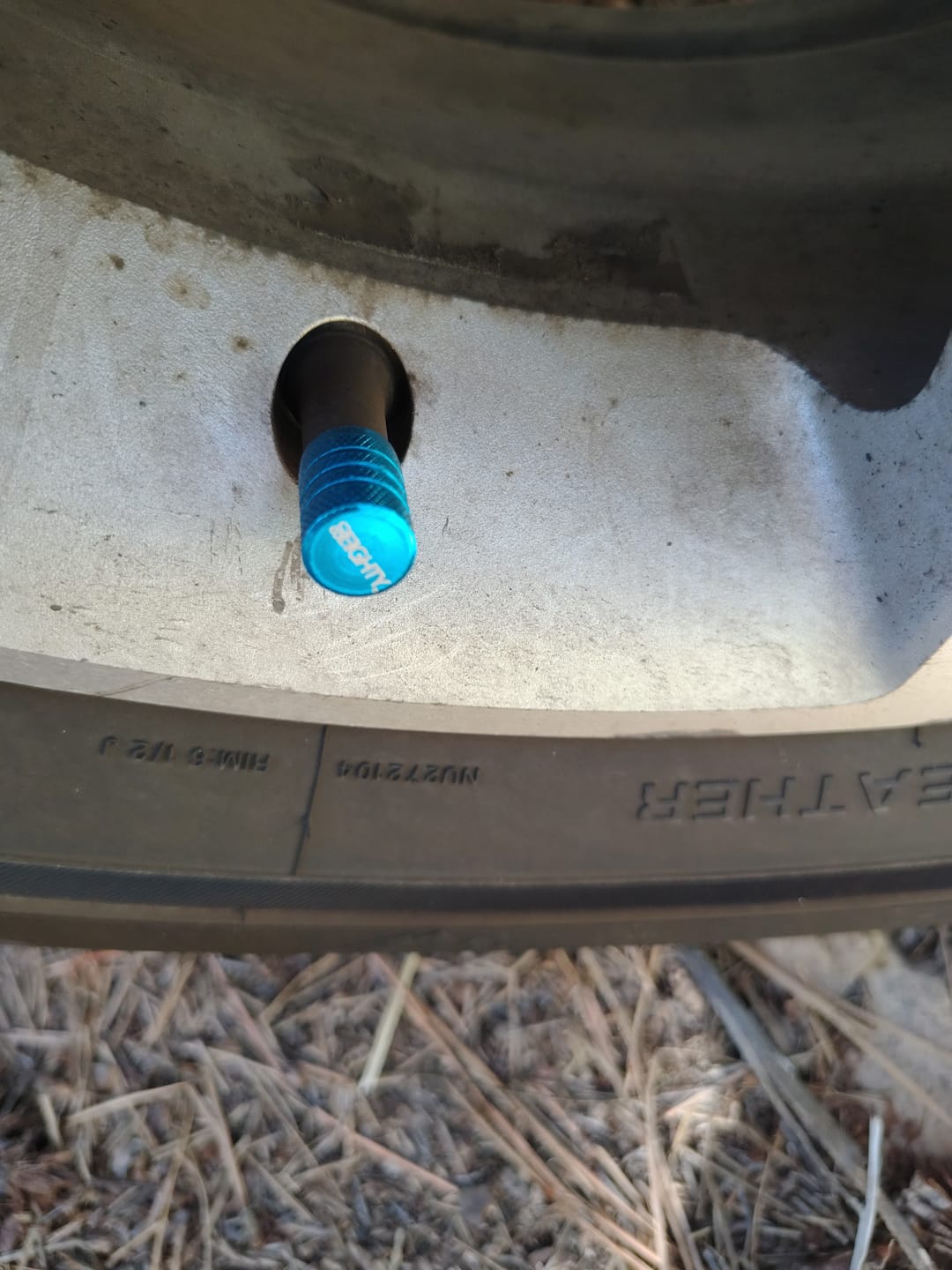 Customer photo review of 80Eighty® Teal Valve Stem Caps
