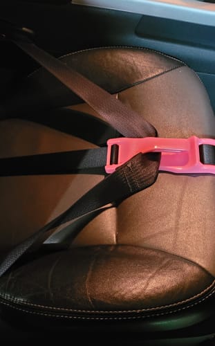 Customer photo review of Pregnancy Safety Belt