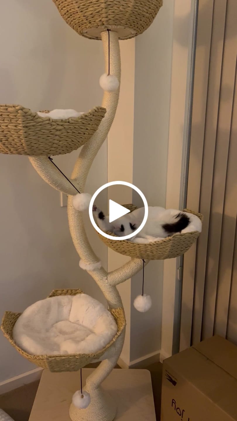 Customer video review of MICHU Ivy Cat Tower Deluxe 4-Tier Designer Tall Cat Tree
