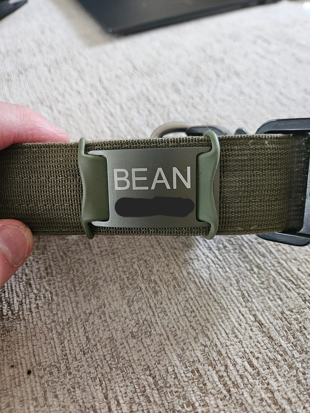 Customer photo review of Dog ID Attachment Tag (6 Colour Choices)