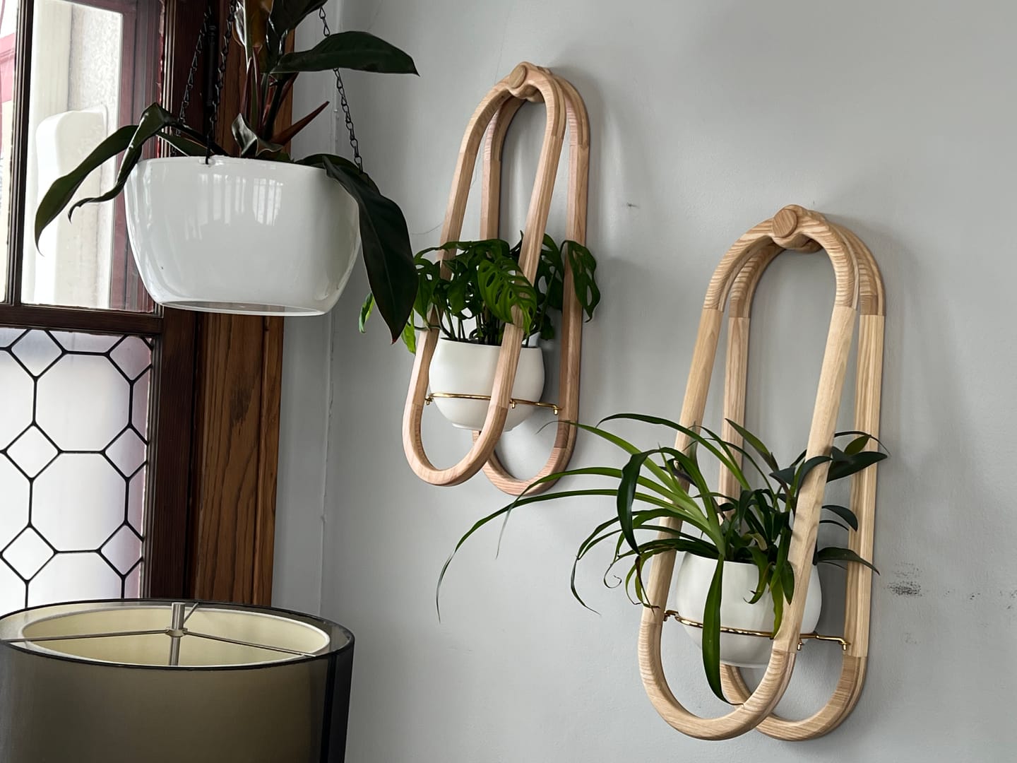 Customer photo review of Frame Wall Planter + Pot Duo