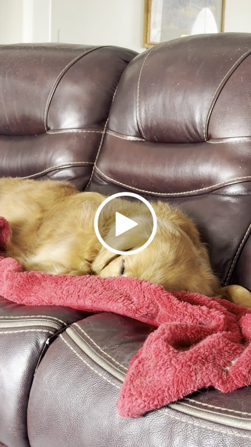 Customer video review of Laundry Wash