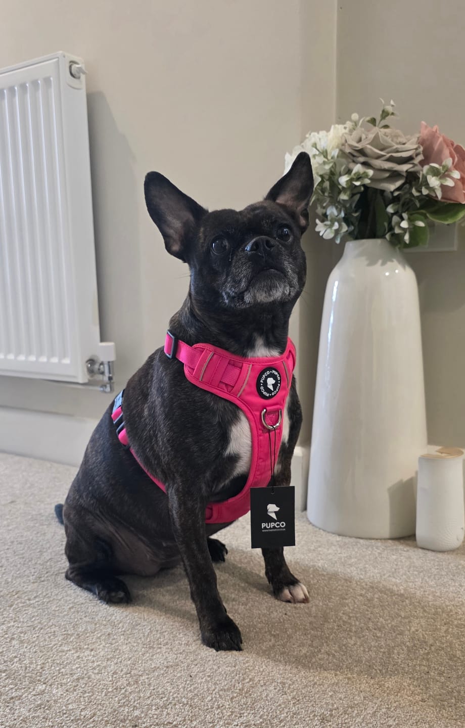 Customer photo review of Lunar Harness - Rose pink