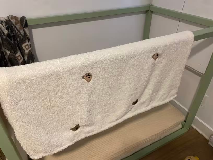 Customer photo review of Cozy Bear Baby Blanket