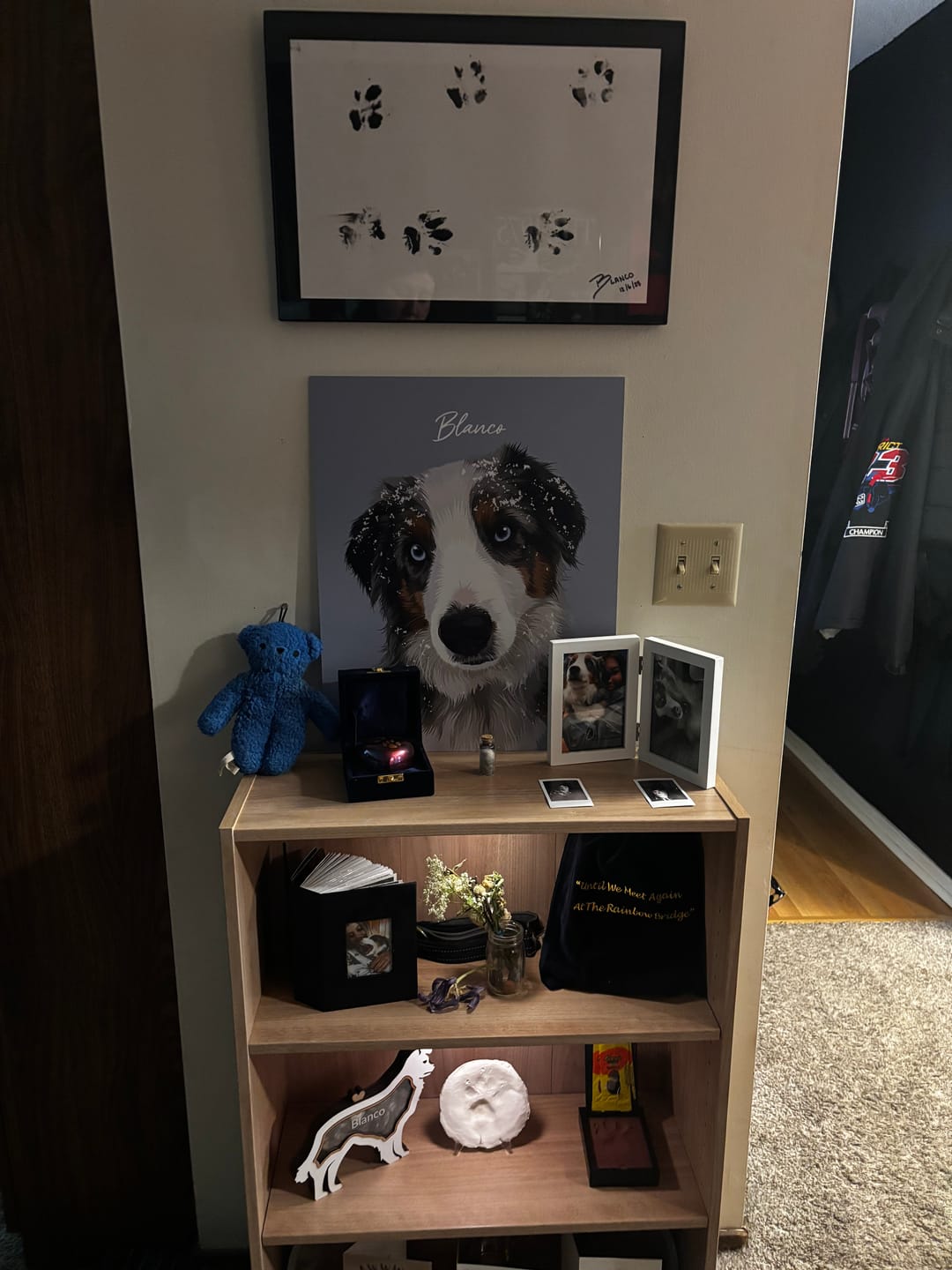 Customer photo review of Custom Metal Print Pet Portrait