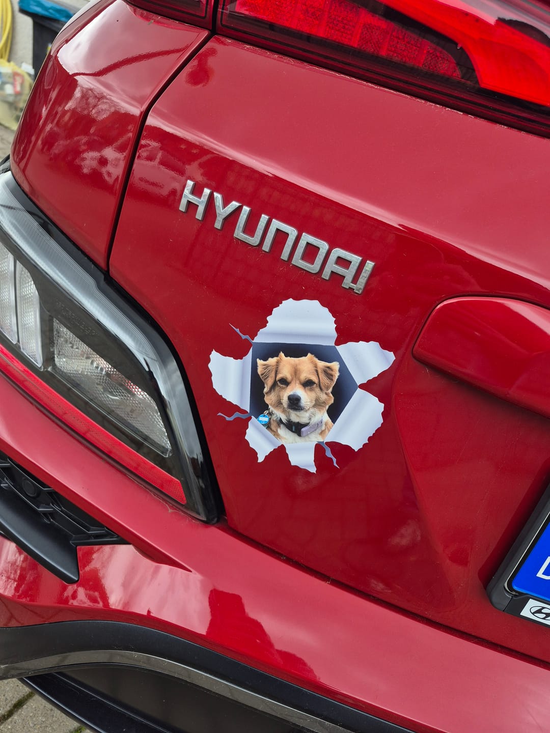 Customer photo review of Personalisierter Autoaufkleber - Spähendes Foto