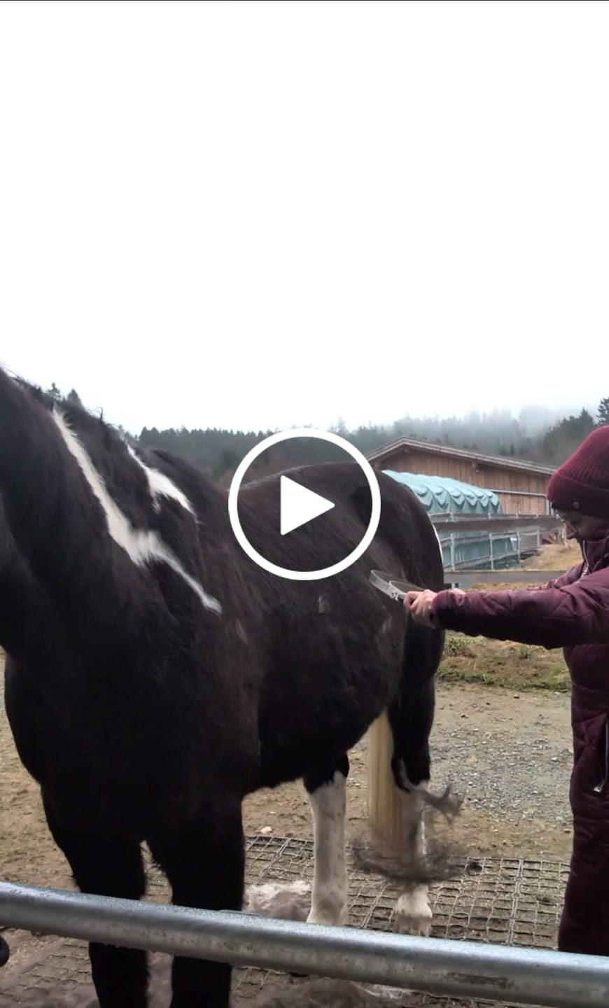 Customer video review of Kristallkraft No1