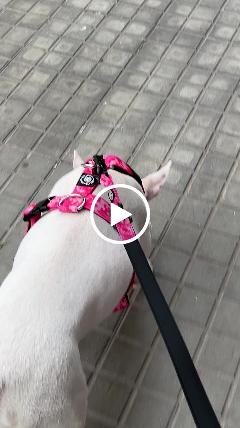 Customer video review of Personalisation Fee €6.99