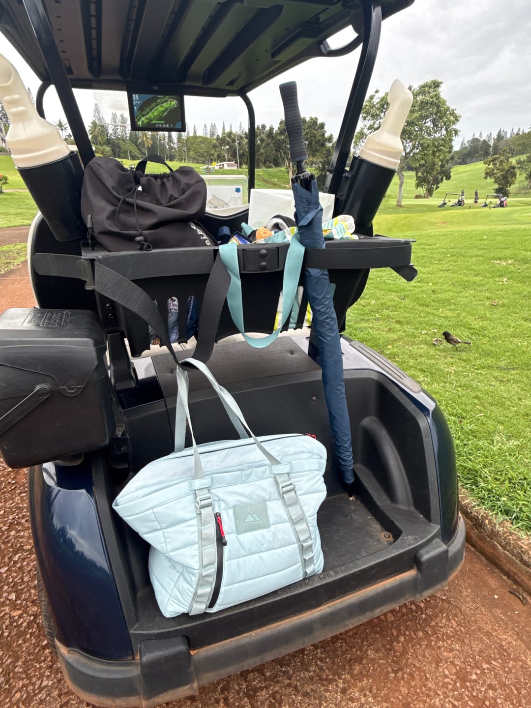 Customer photo review of The Kingfisher Cooler Tote