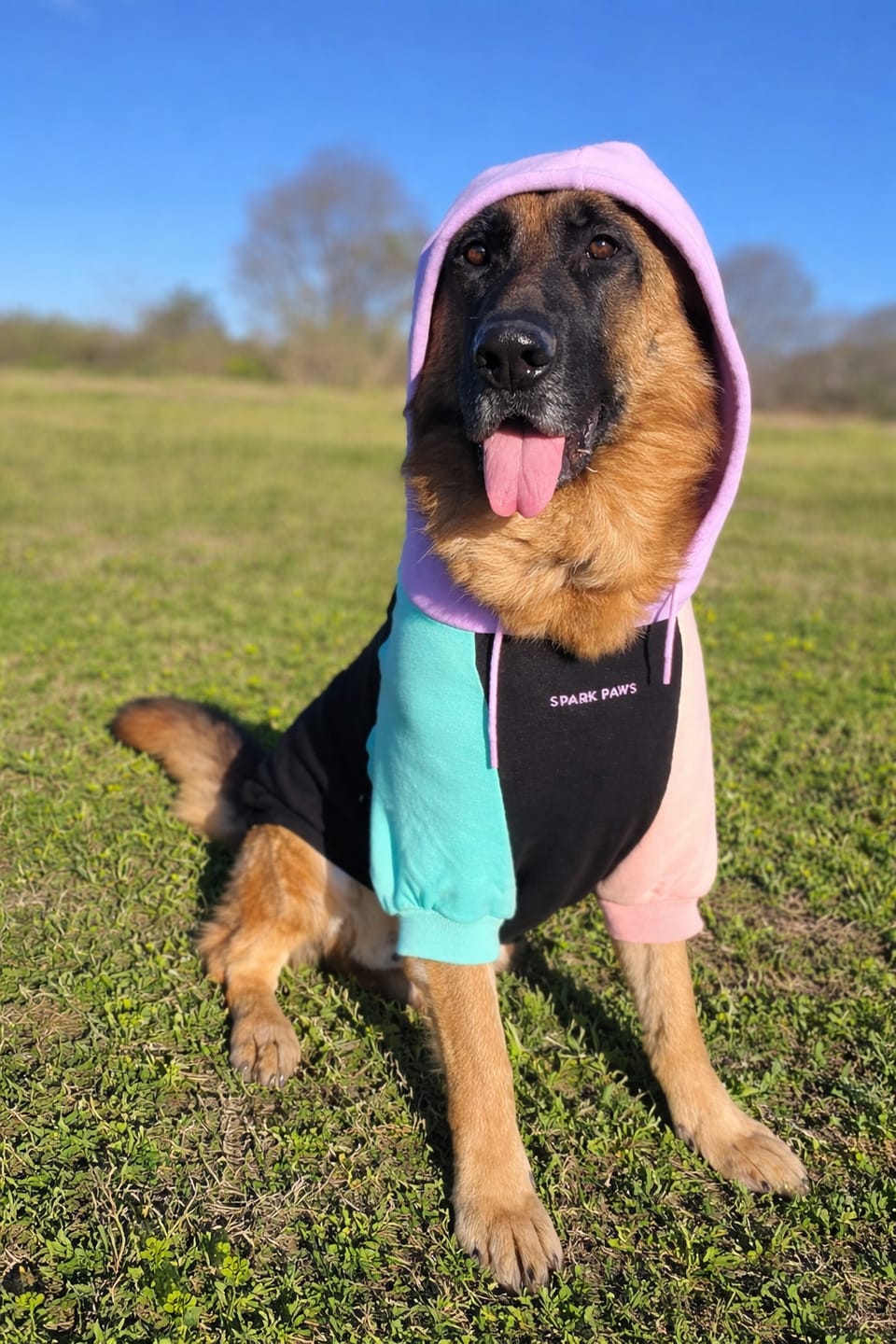 Customer photo review of Cyber Punk Dog Hoodie