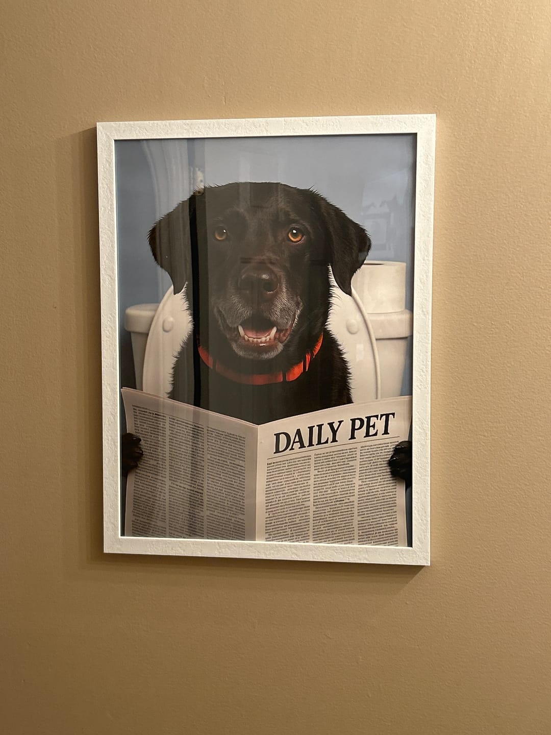 Customer photo review of Occupied - Personalized Poster
