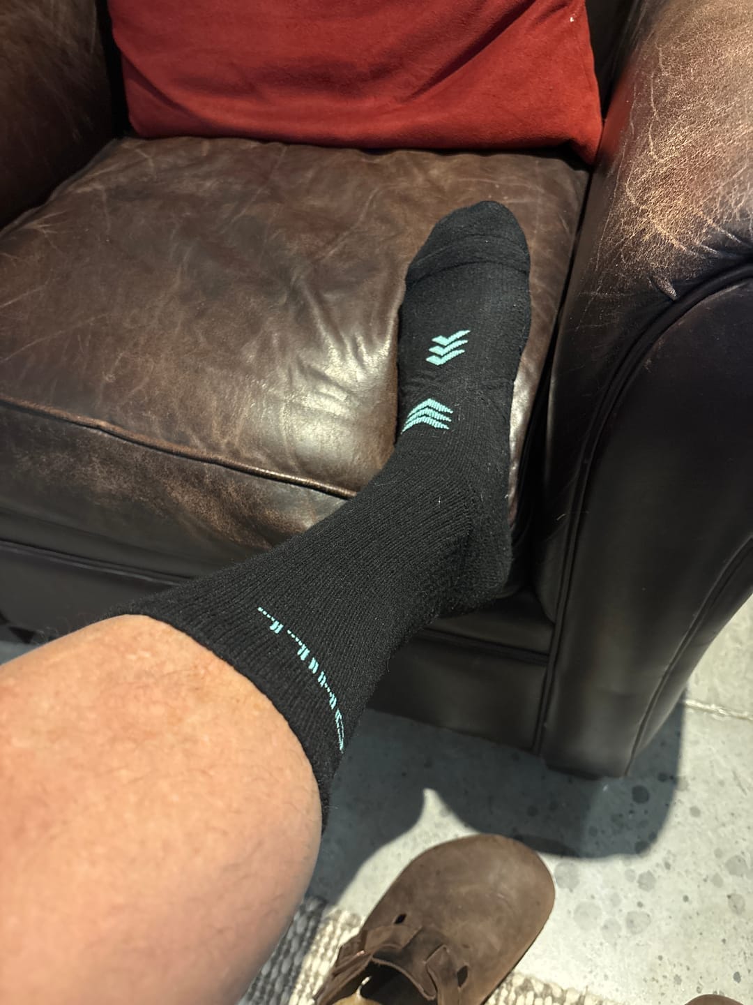 Customer photo review of Alpaca Sock 6 Pairs