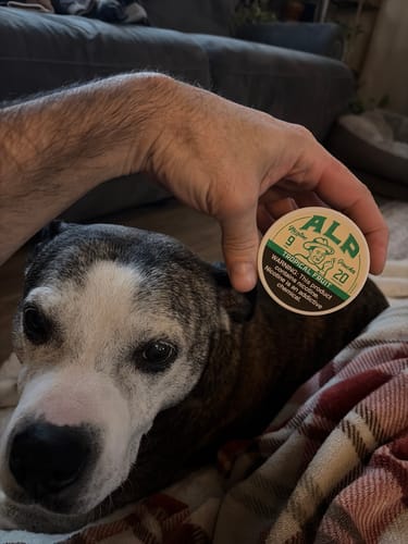 Reviewer holds a can of ALP Tropical Fruit pouches, one of the brand's flavors, while relaxing with their dog.