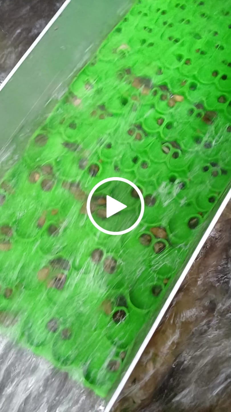 Customer video review of 6 inch River sluice Combo dream mat