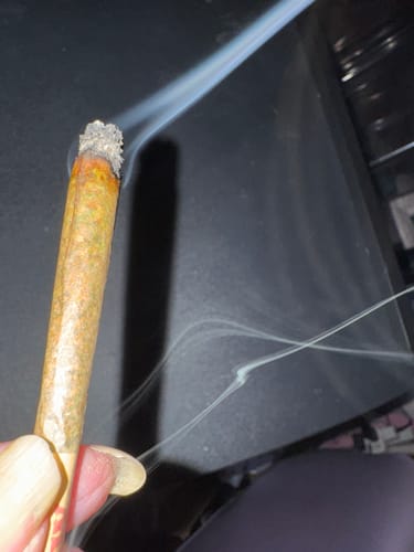 Close-up of a reviewer's hand holding a lit Royal Cherry Pre-Roll, showing its smooth burn.