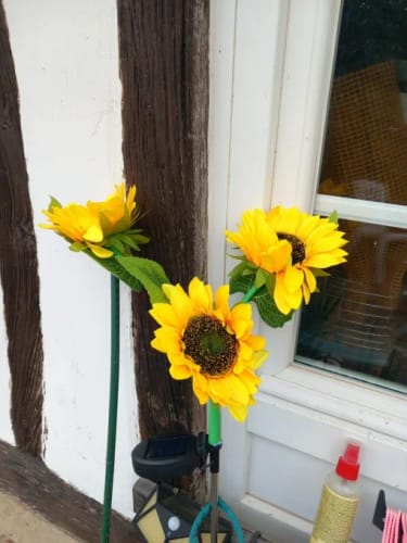 Customer photo review of BlumenLicht