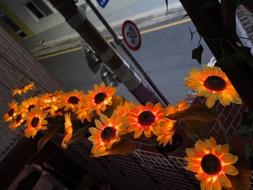 Customer photo review of BlumenLicht