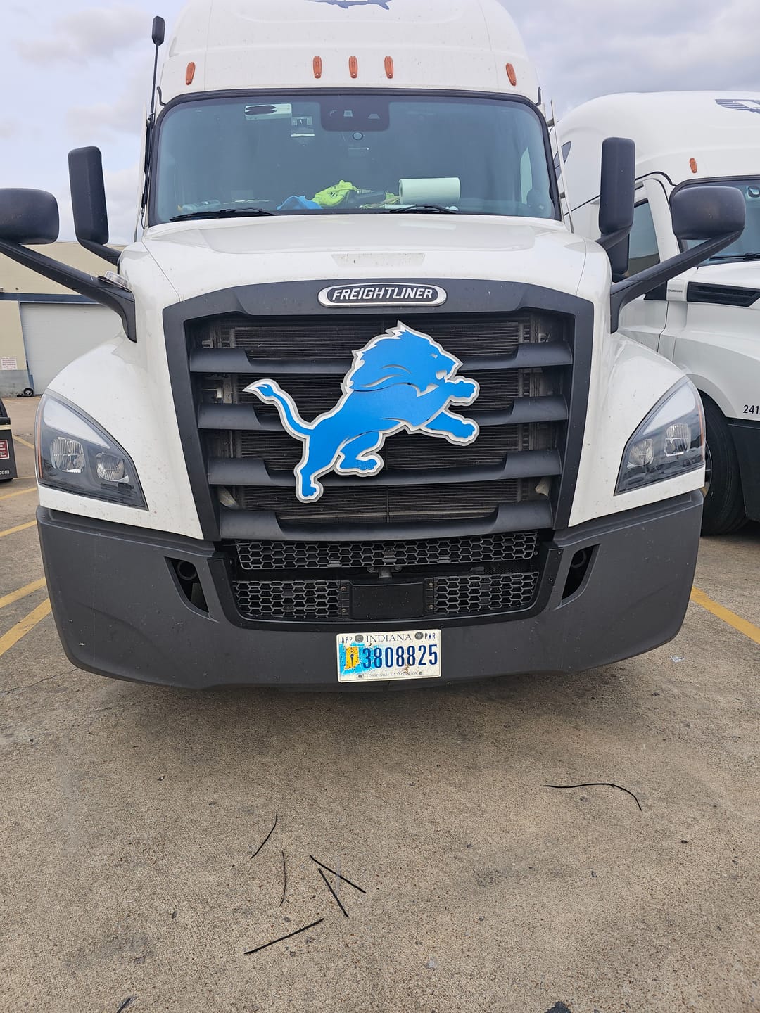Customer photo review of Detroit Lions 3D Vintage Metal Wall Art
