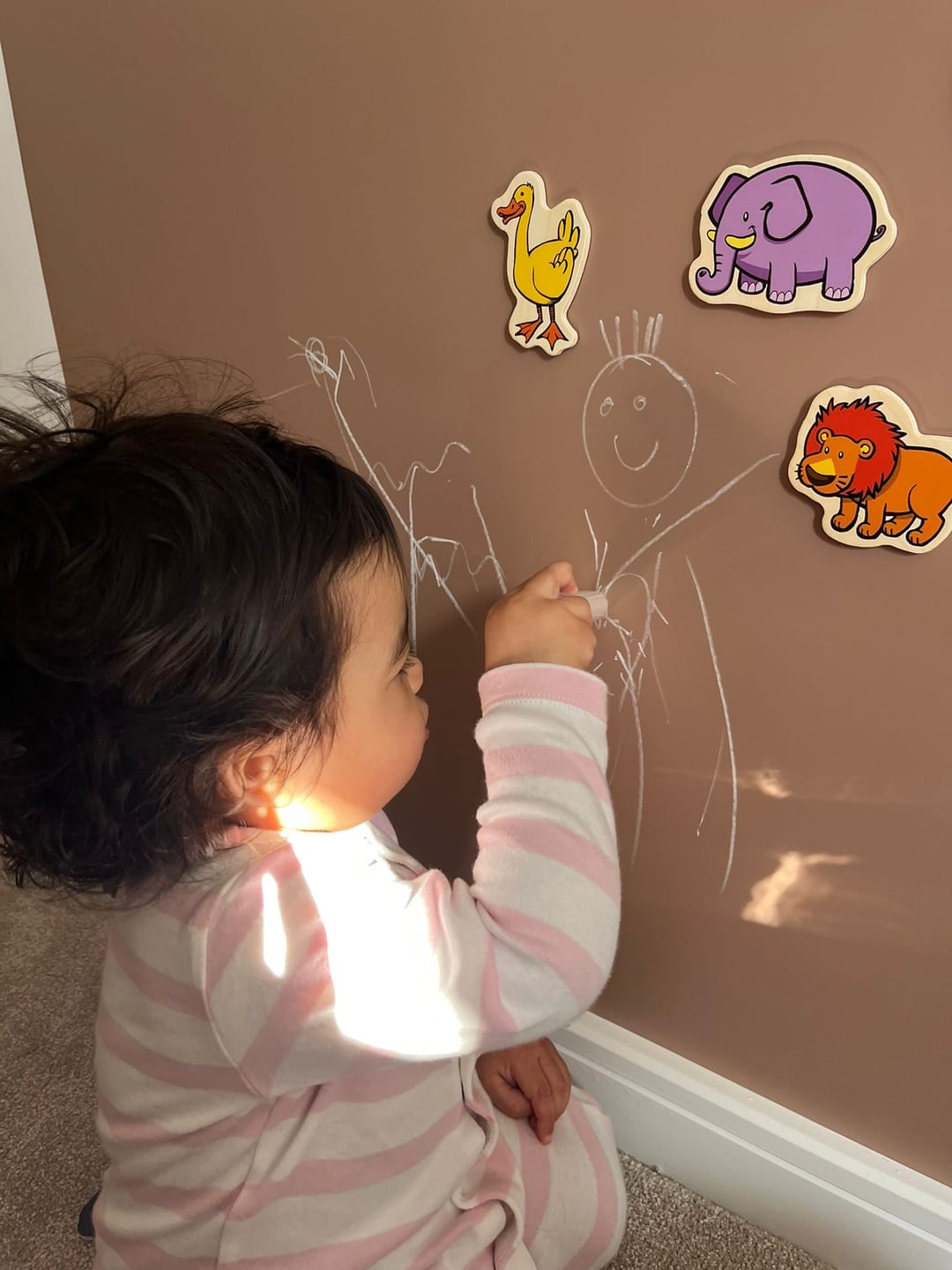 Customer photo review of Magnetic Wall Board