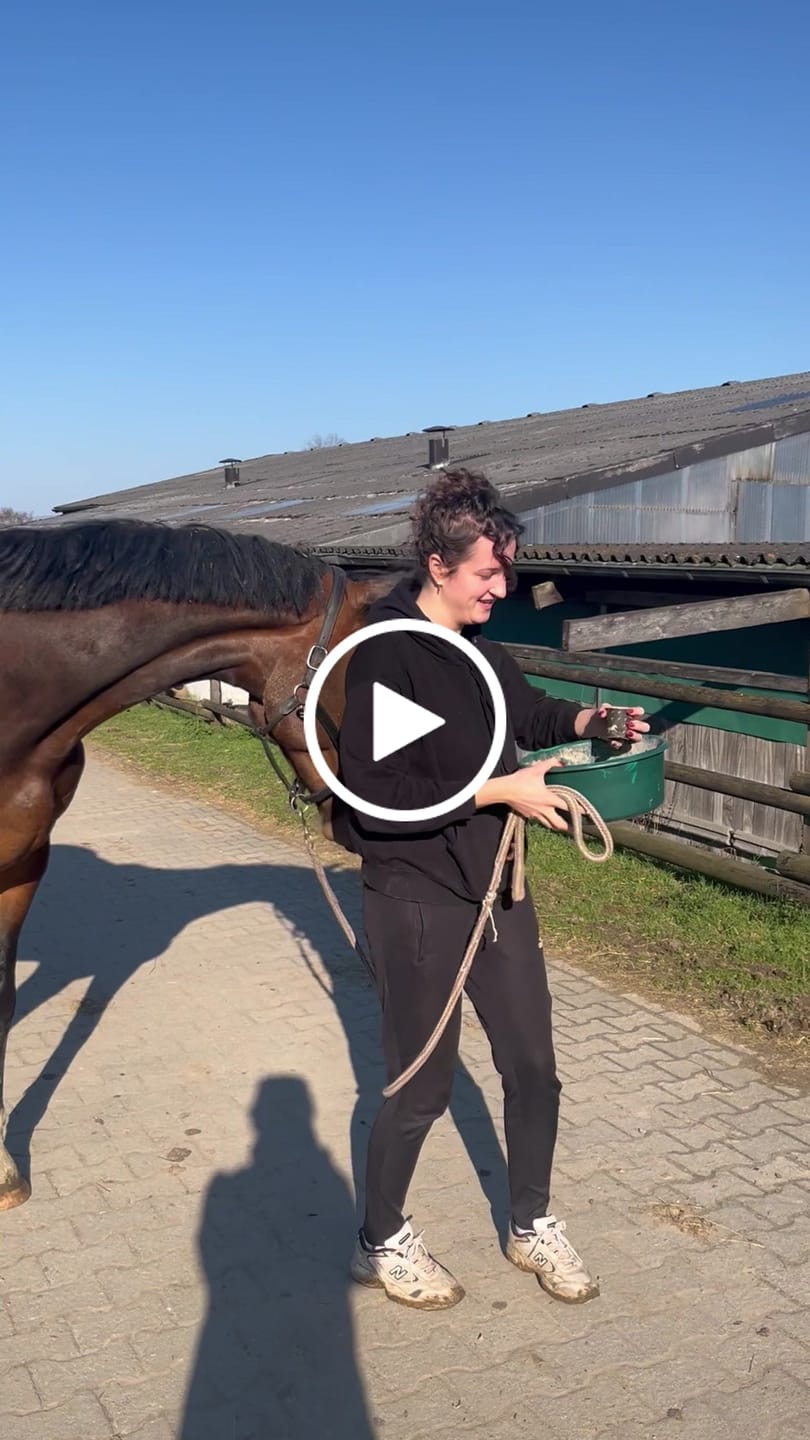 Customer video review of Kristallkraft Coolly