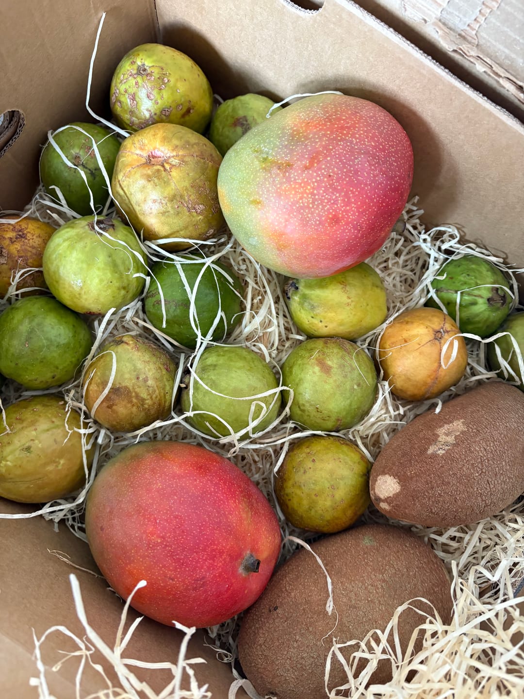 Customer photo review of Guave rot naturbelassen von Julian