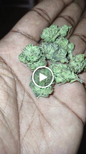 Customer video review of Light Assist THCA Smalls