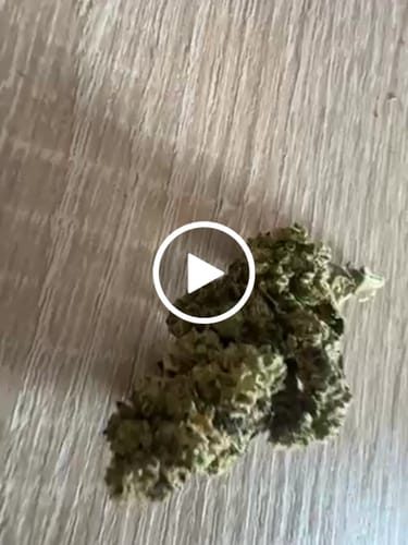 Customer video review of Lemon Haze