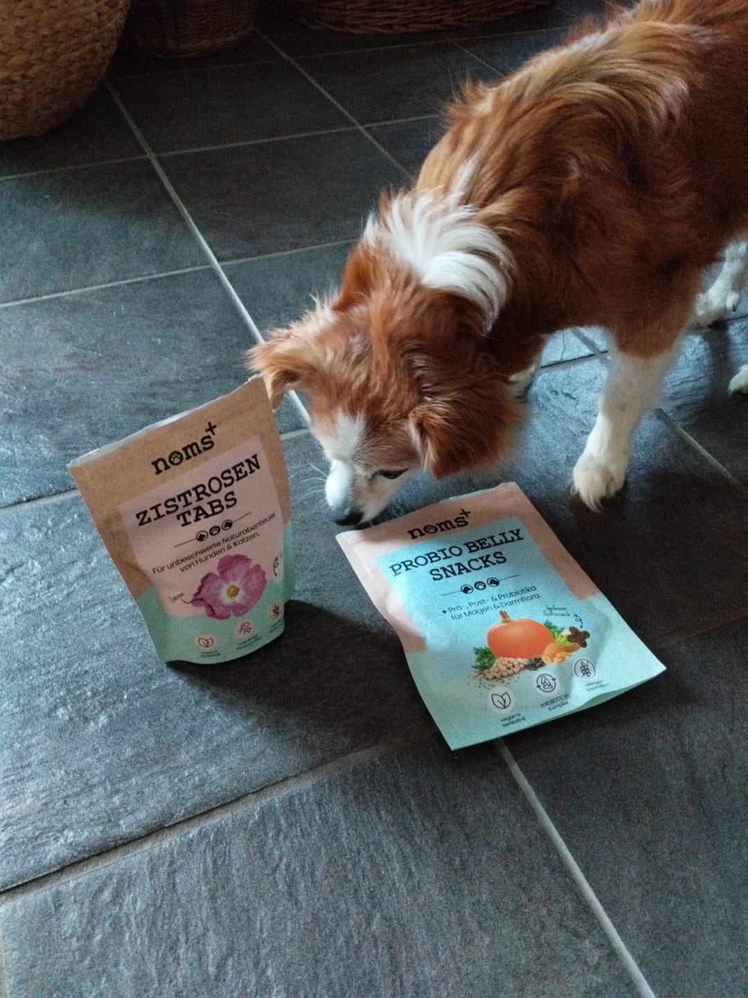 Customer photo review of Zistrosen Tabs - 100% natürliches Zistrosen-Leckerli für Wald- & Wiesenspaziergänge