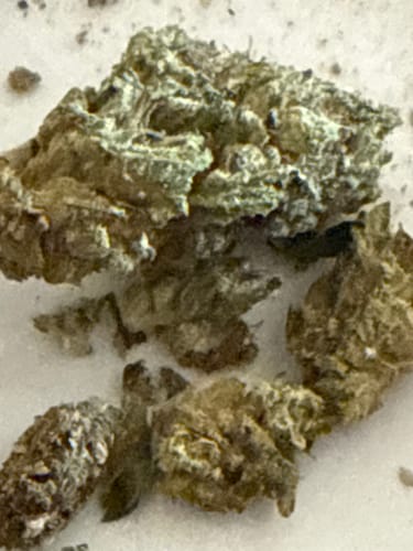 Customer photo review of Shipping Protection by Route