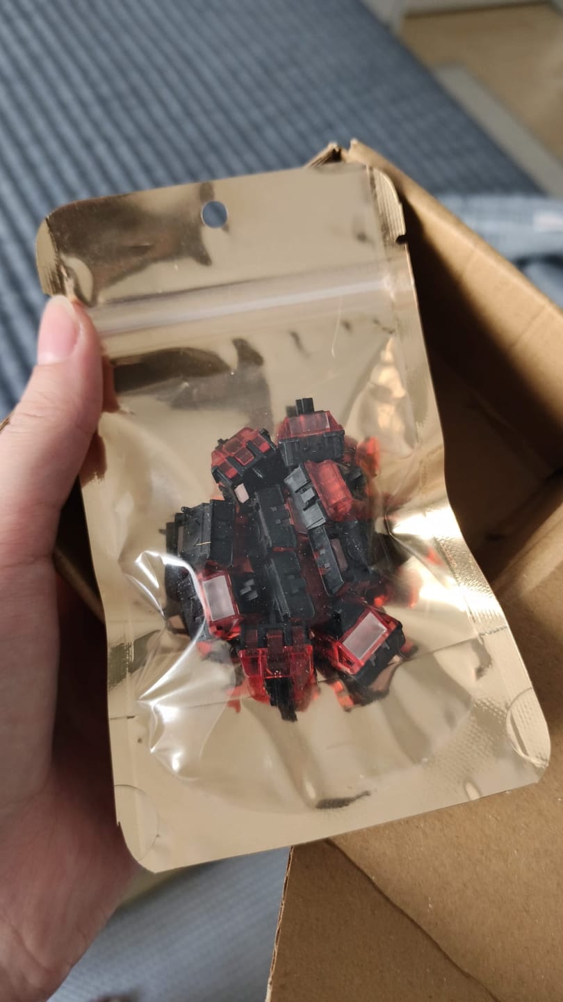 Customer photo review of GEONWORKS Raptor HE V2 Manyetik Switch