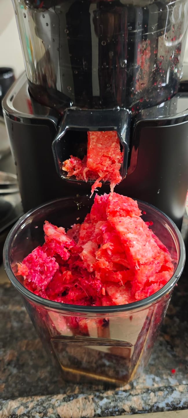 Customer photo review of Dripdrop Pro Cold Press Juicer