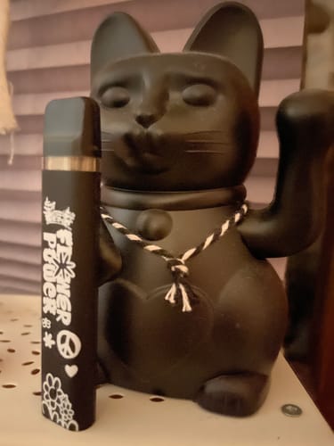 Customer photo review of 🥭Flower Power Vape Mango Superior Blend
