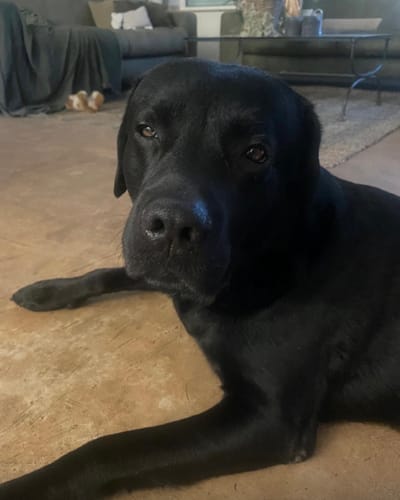 Customer photo review of ROCK ON.