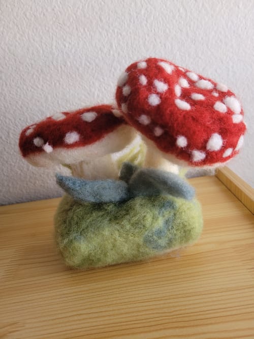 Customer photo review of Forest Toadstools Mini Needle Felting Kit